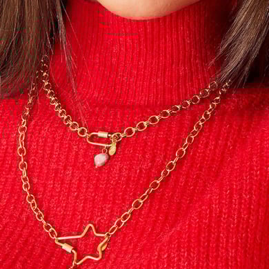 Stainless steel necklace h5 Picture4